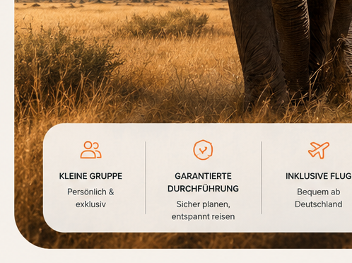Giraffen im ersten Licht