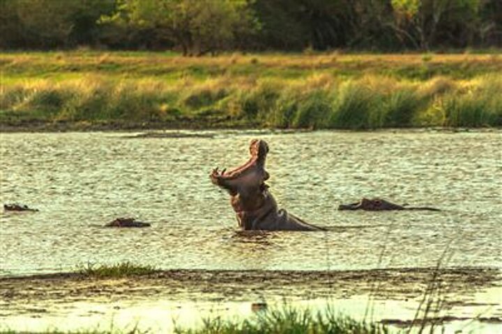 iSimangaliso Wetland Park