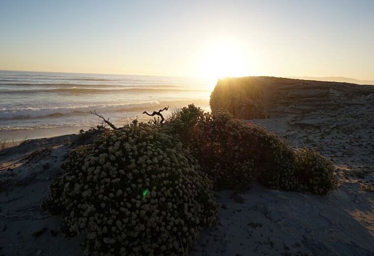 Strandspaziergang Hermanus Bucht