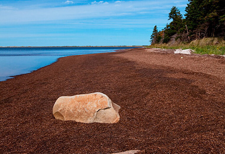 copyright by Destination Canada