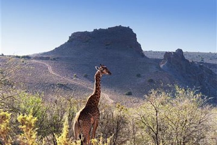 Kleine Karoo