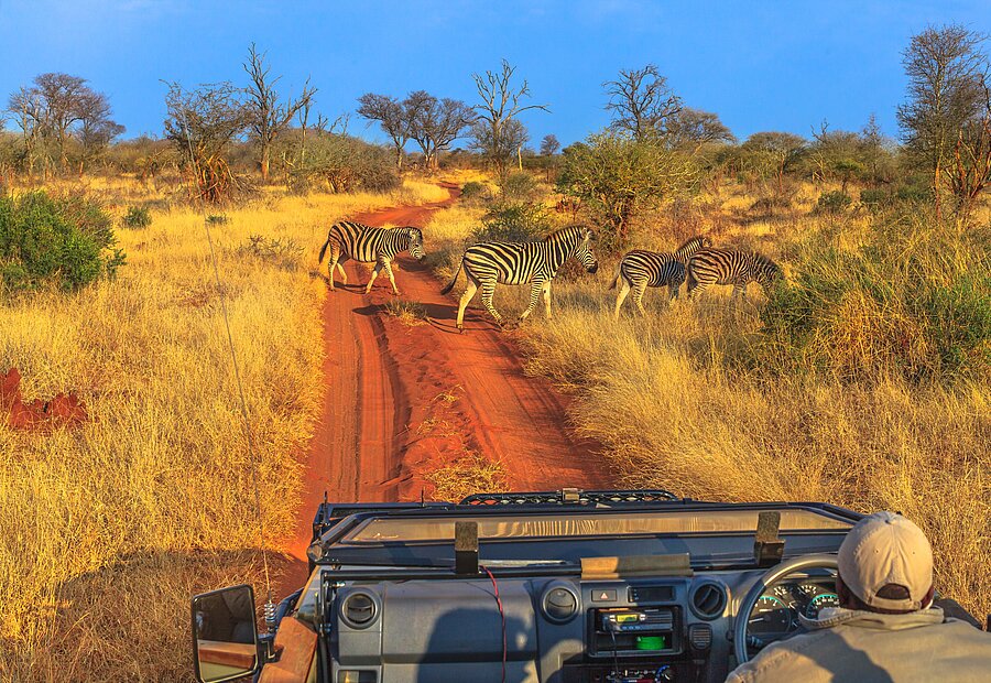 Krüger Nationalpark