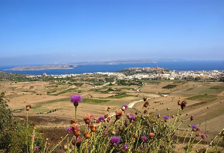 Malta Panorama