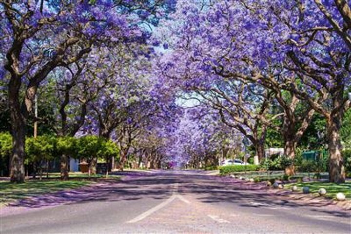 Pretoria