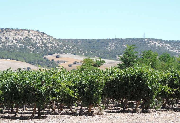 SPANIEN RUNDREISE