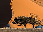 @forcdan/adobestock