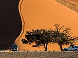 @forcdan/adobestock