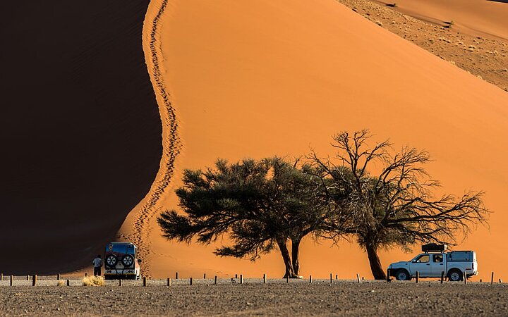 Safari in Namibia