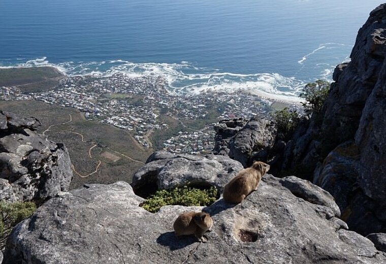 Tafelberg