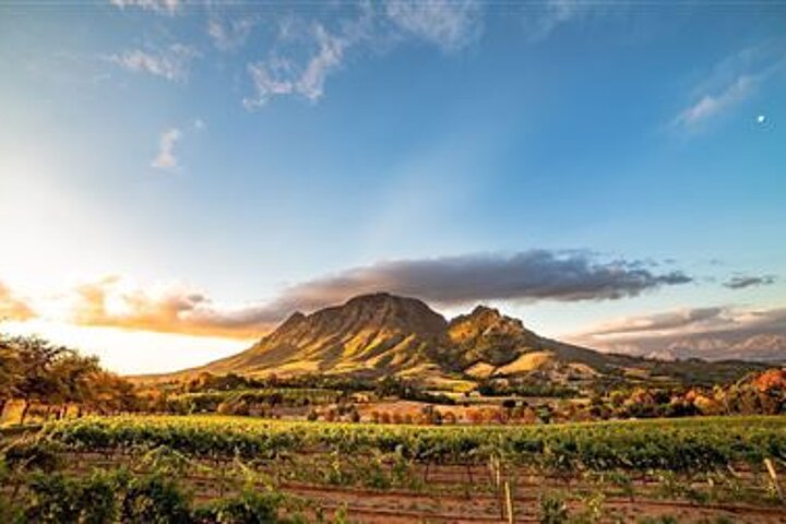 Stellenbosch