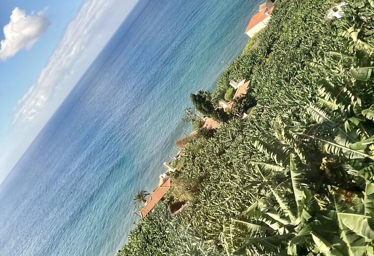 MADEIRA RUNDREISE