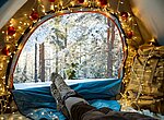 @SuziMedia/adobestock