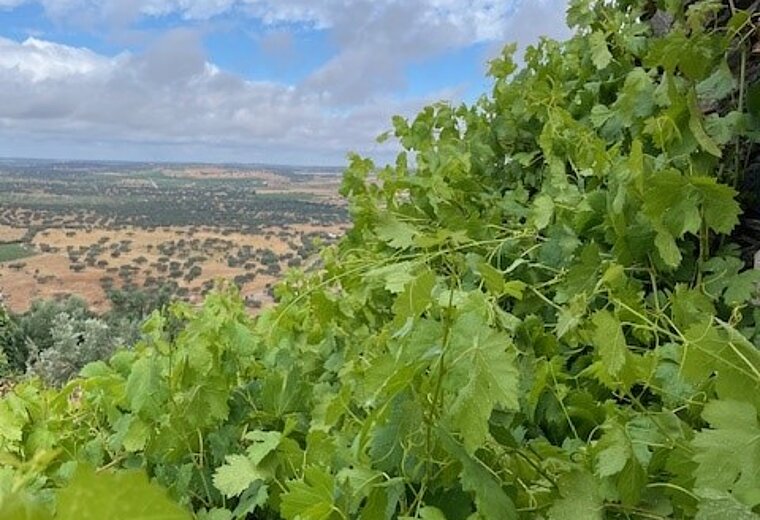 ALENTEJO RUNDREISE