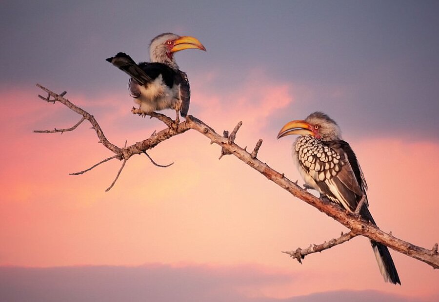 tunart/istock