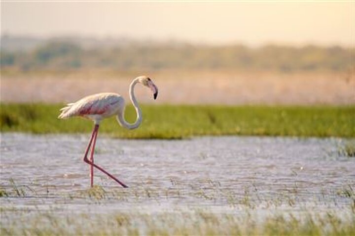 iSimangaliso Wetland Park